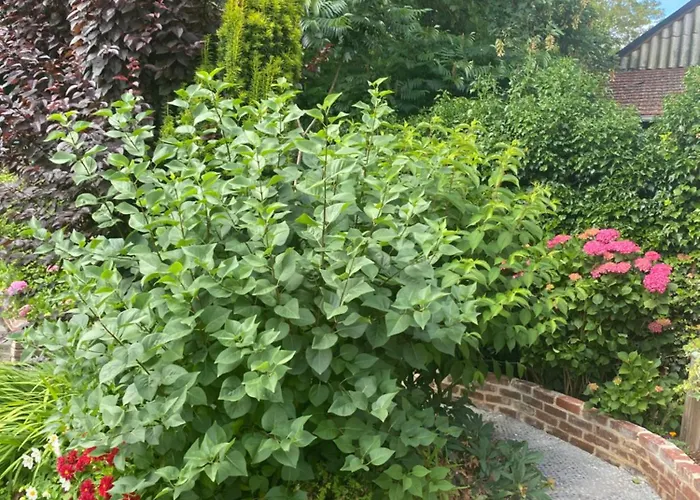 Au Bord Du Montville